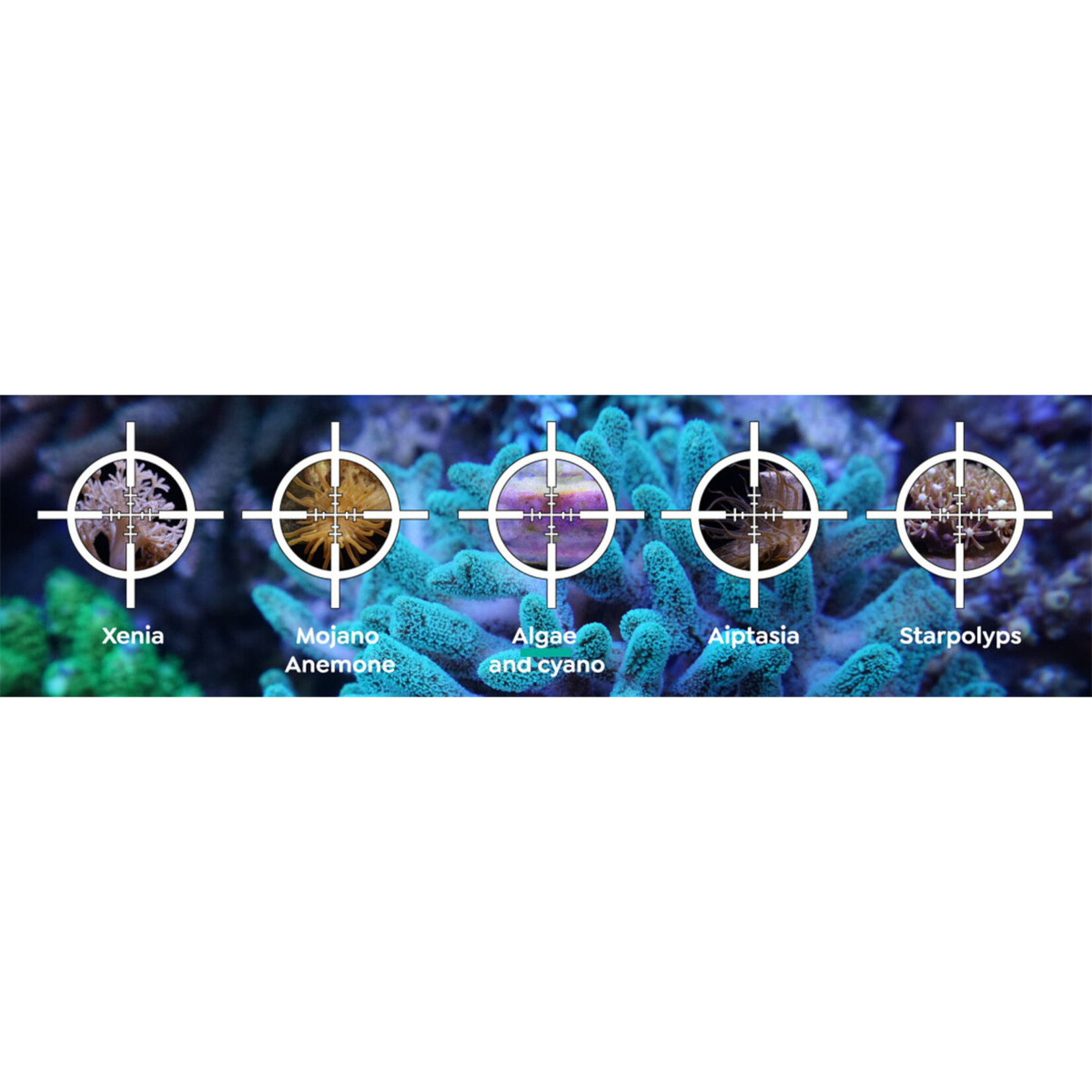 ITC Reefculture Reef Delete - UV-C Pest Control