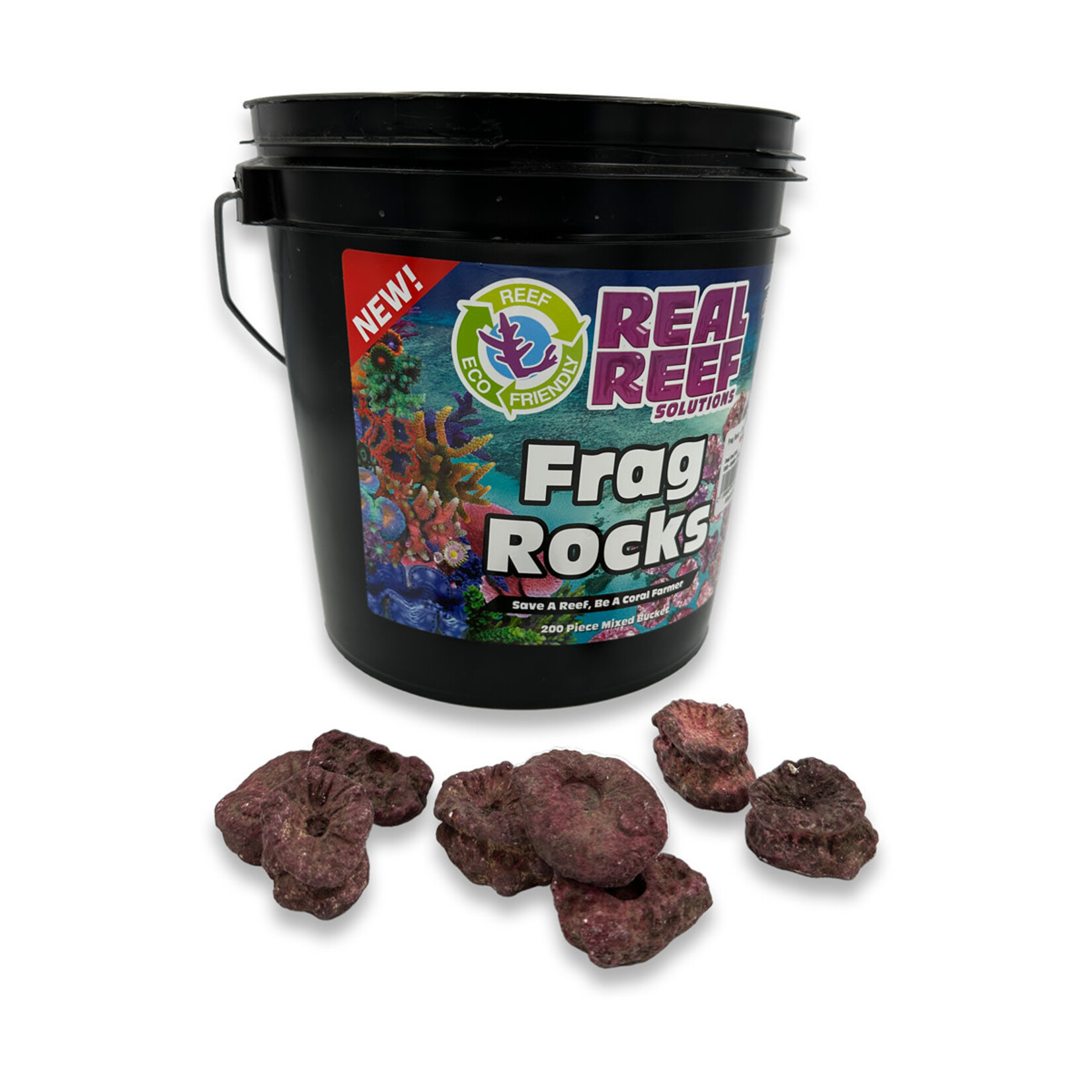 Real Reef Rock Frag Rock - Einzelstein