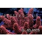 Reefers Club Schweiz