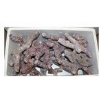 Dutch Reef Rock Bone Rock - Mix Box - 20 kg