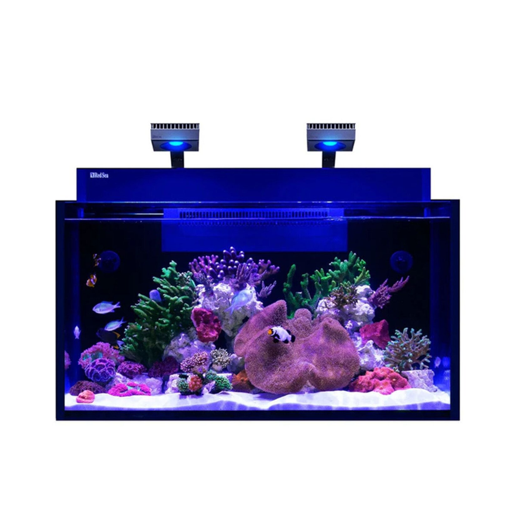Red Sea MAX NANO G2 XXL