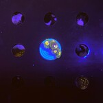 Indonesien A321 - Zoa Ableger - AA Edelweiss/Stargazer