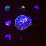 Indonesien A361 - Chalice - Blue / Red Eyes