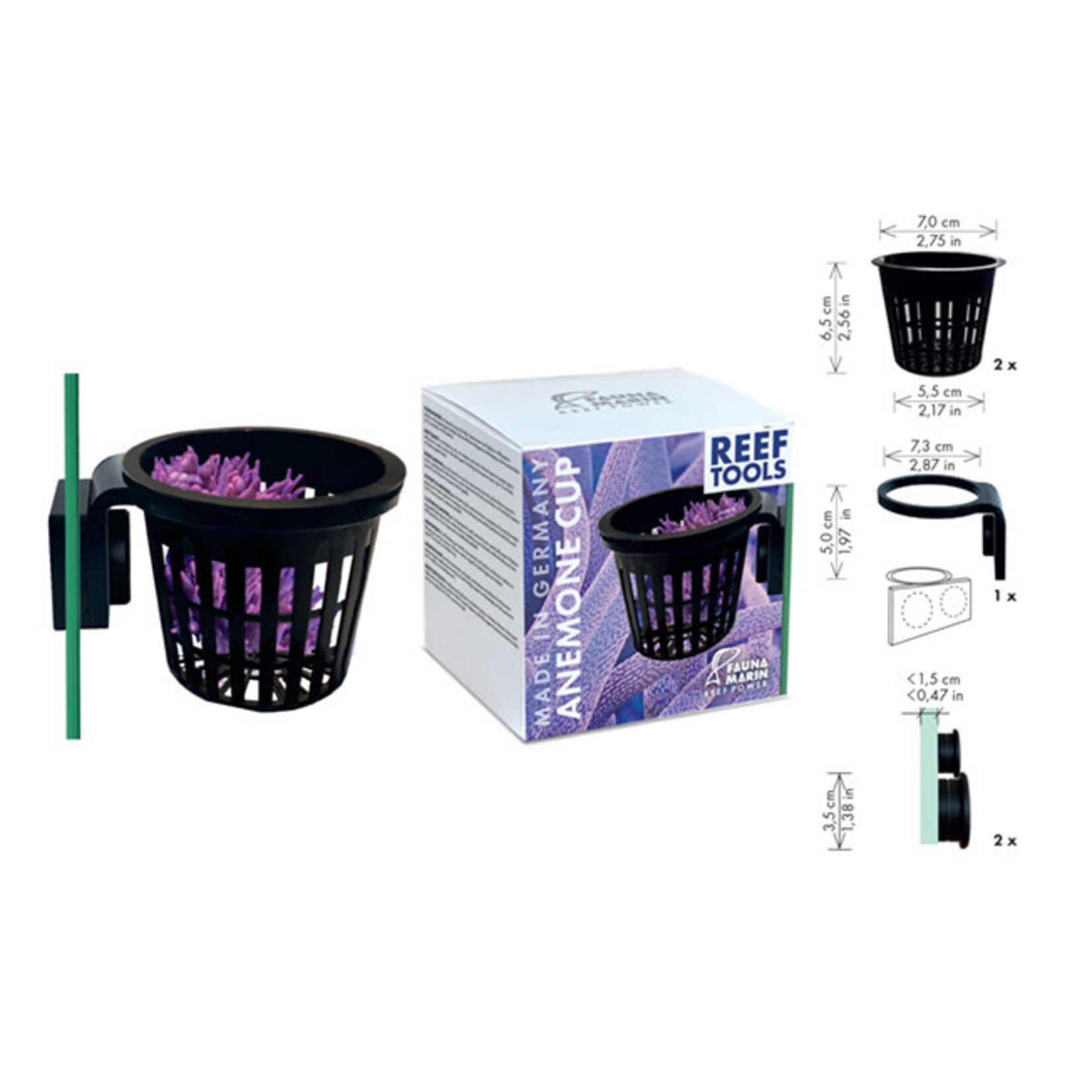 Fauna Marin Anemone Cup