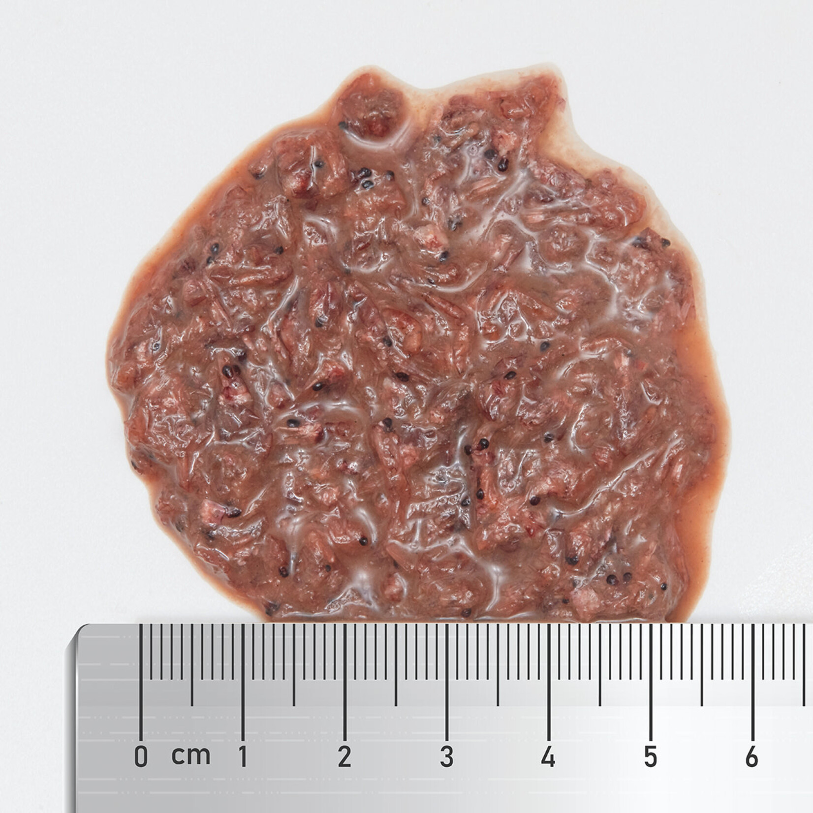 Fauna Marin Arctic Plankton - 250 ml