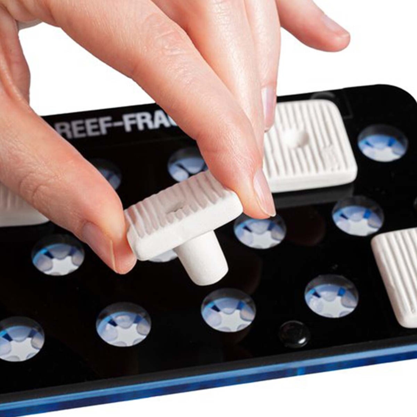 ARKA myReef - CoralPlugs 27mm quadratisch - 12 Stück
