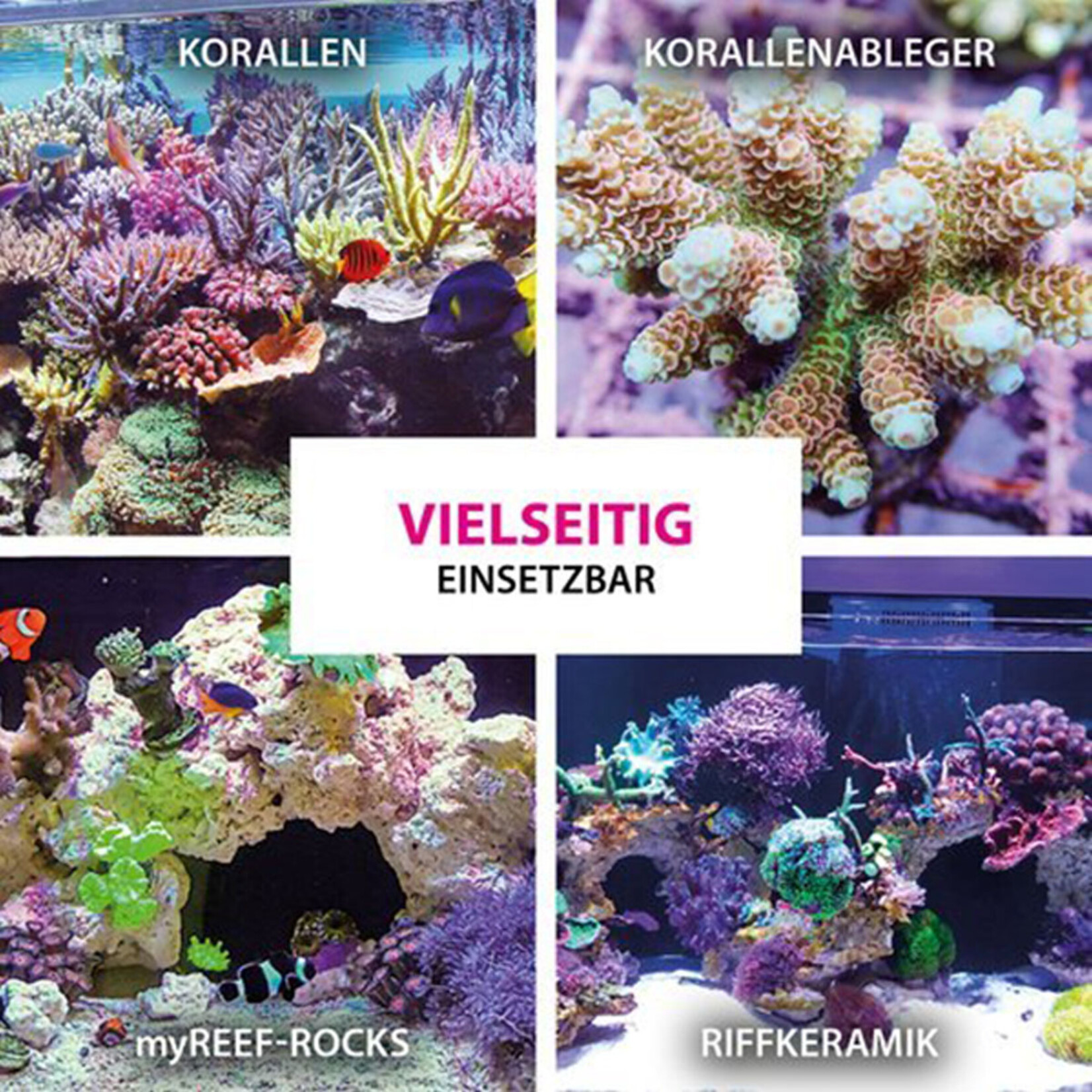 ARKA Coralscaper Gel - Sekundenkleber (50g)