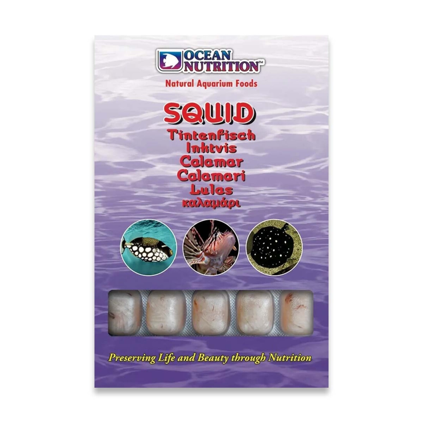 Ocean Nutrition Squid - 100 g