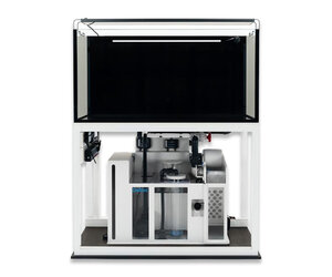 Aqua Perfekt Reeftank 430 - DELTEC