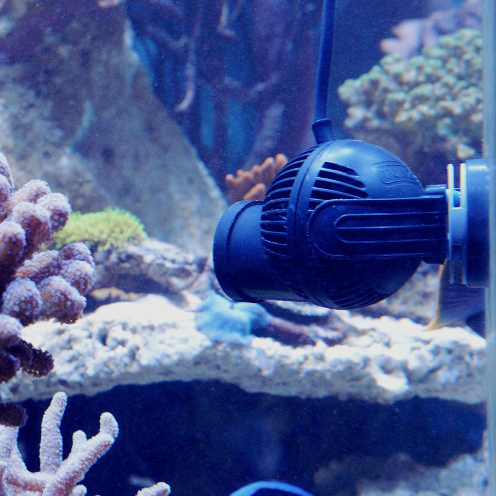 TUNZE Turbelle® nanostream® 6025