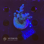SciReef Acropora Kenti - Twin - Grade 1 - A020 (WYSIWYG)