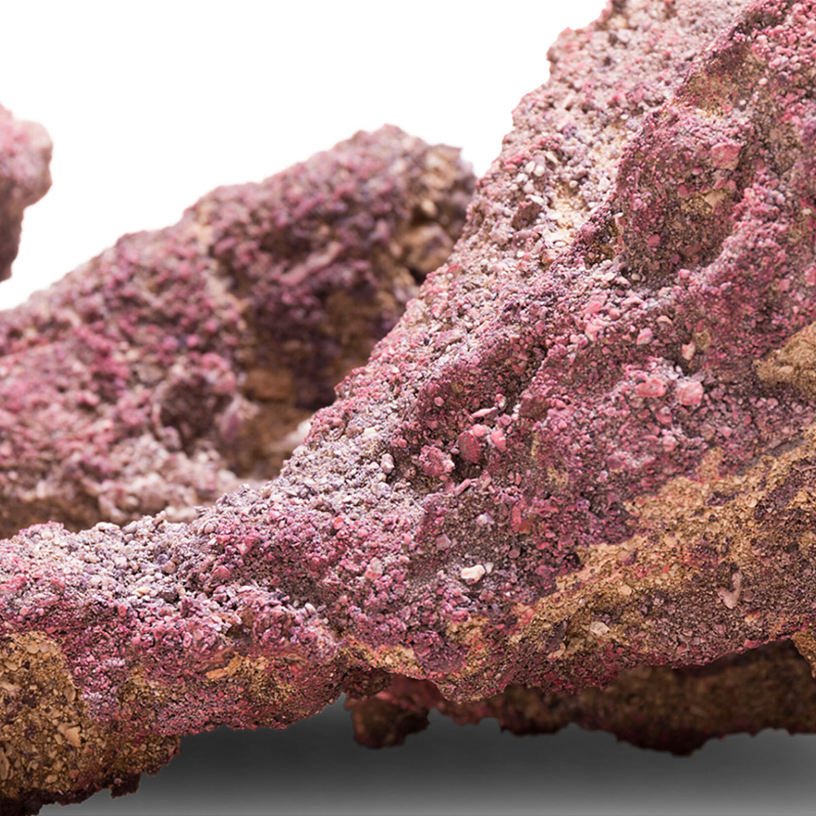 CaribSea LifeRock Belize Branch - 9.07 kg