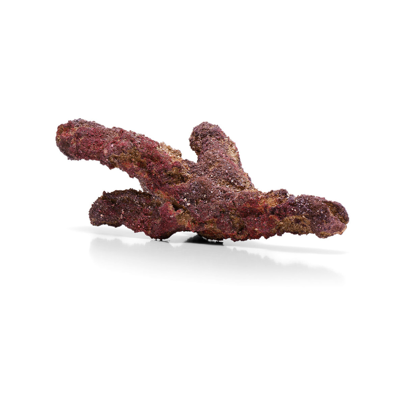 CaribSea LifeRock Belize Branch - 9.07 kg