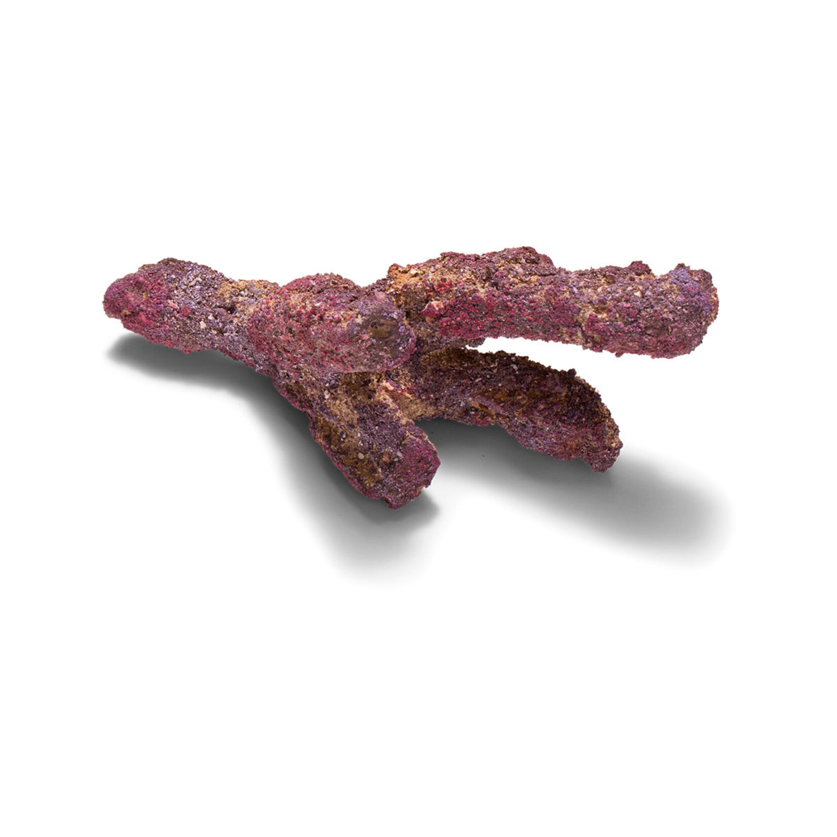 CaribSea LifeRock Belize Branch - 9.07 kg