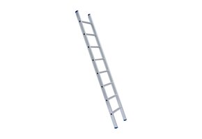 Eurostairs Ladder enkel recht 1x12 sporten