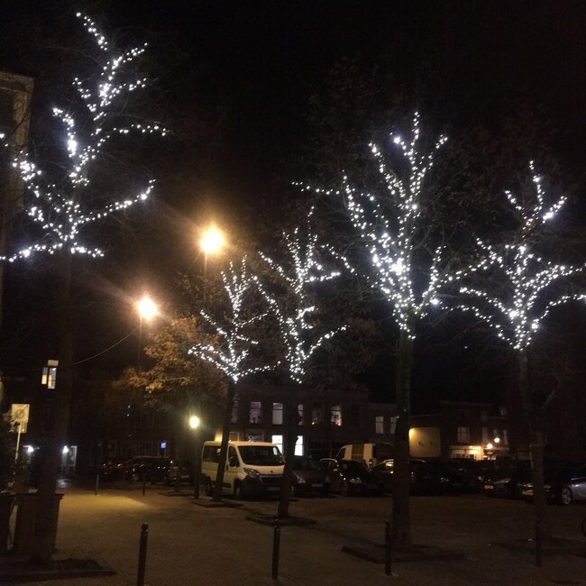 Łączone lampki świąteczne | Zimna biel | 10 metrów z 100 światełkami | gumowe