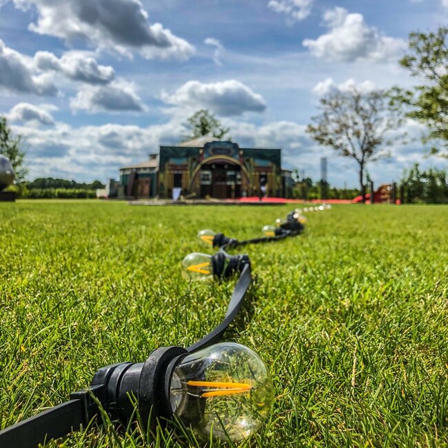 Ciepła biel, żarnikowe lampy, ściemnialne - 3 waty