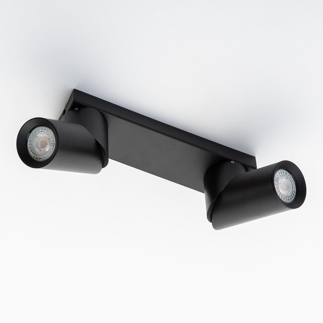 Industrialna czarna lampa sufitowa z 2 reflektorami - Libby