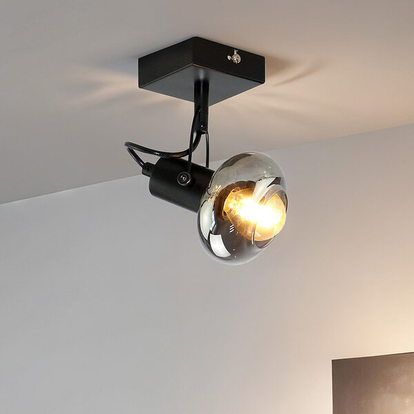 Lampa sufitowa ze szkłem dymionym szarym, 1 światło - Sacha
