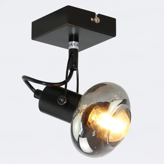 Lampa sufitowa ze szkłem dymionym szarym, 1 światło - Sacha