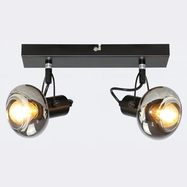 Lampa sufitowa ze szkłem przydymionym szarym, 2 światła - Seppe