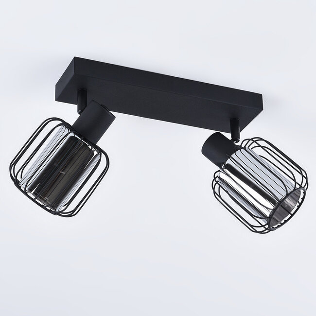 Lampa sufitowa ze szkłem dymionym i obrotowymi reflektorami, 2 światła - Dua