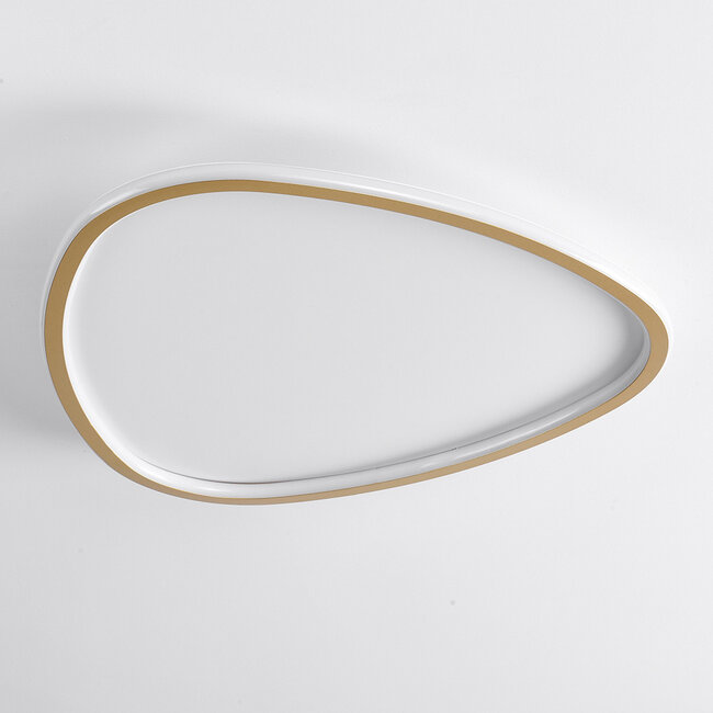 Lampa sufitowa Rory ze ściemnialnymi diodami LED