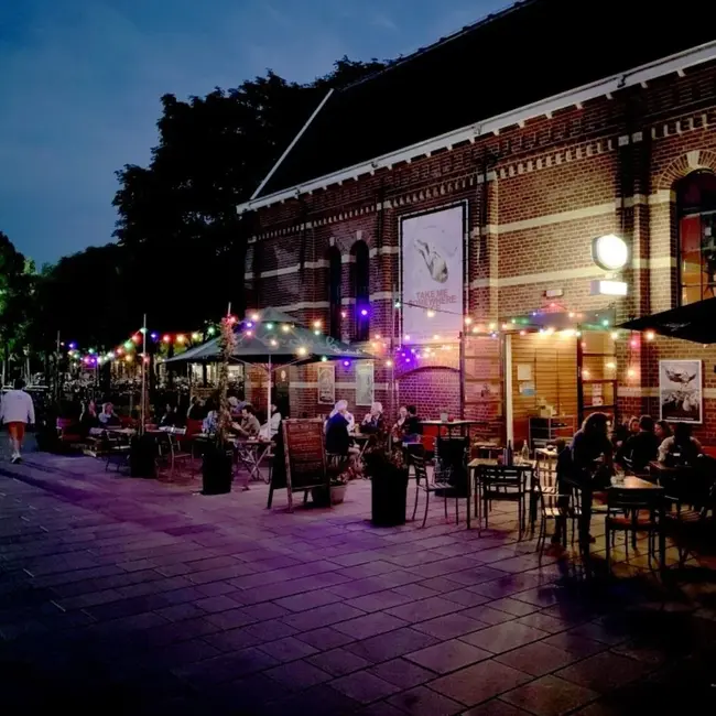 Kompletny zestaw girland świetlnych z 8 kolorowymi lampami LED