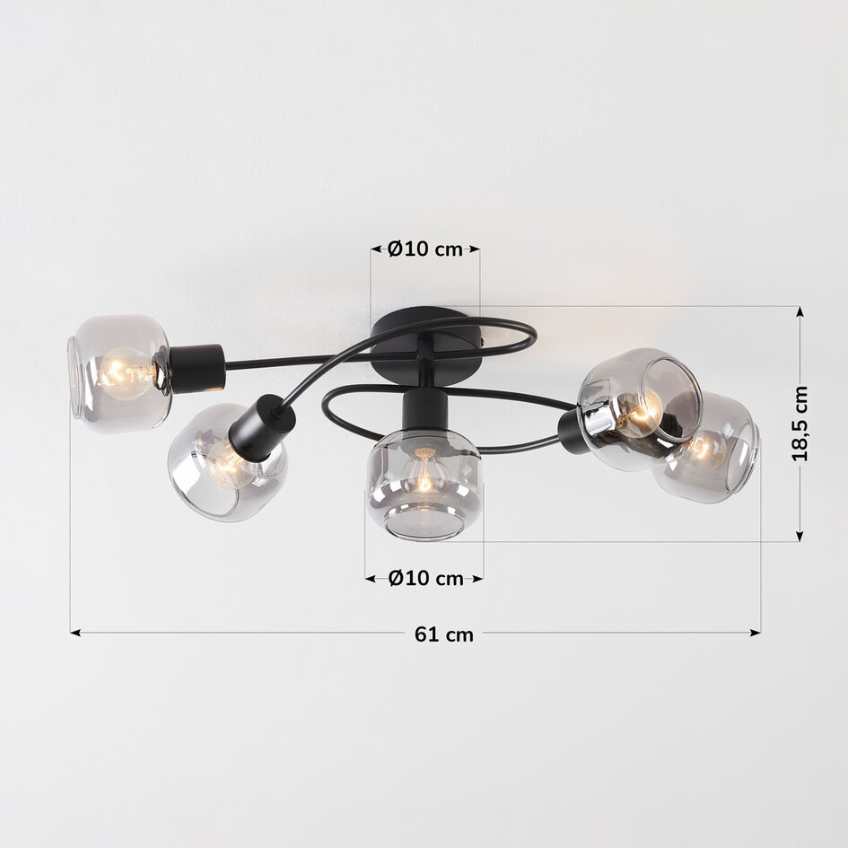 Lampa sufitowa Globe 5 światła ze szkłem dymionym