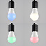 Ściemnialne żarówka LED E27 7W, mlecznobiała, Ø60 - RGB i 3000 K (pilot dostępny osobno)