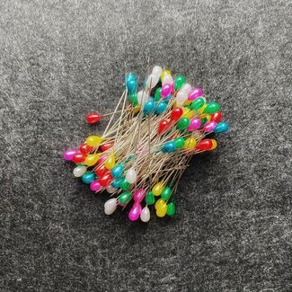 Große Perlmutt-Nadeln