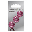 Milward Rosa Glanz Knöpfe auf Karte 17 mm: Packung mit 3