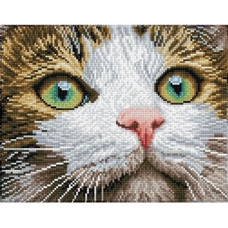 Huismerk Diamond Painting, Katze 'green eyes'