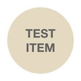 Item for Payment Test