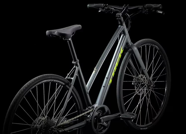 TREK FX 2 DISC STAGGER S CH