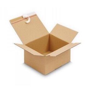 Master'in Master'in Verzenddoos met Autolock Bodem 310 x 230 x 160mm