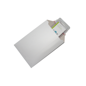 Master'in Verzendenveloppen van Massief Karton 175 x 250mm Master'in Verzendenveloppen van Massief Karton 175 x 250mm