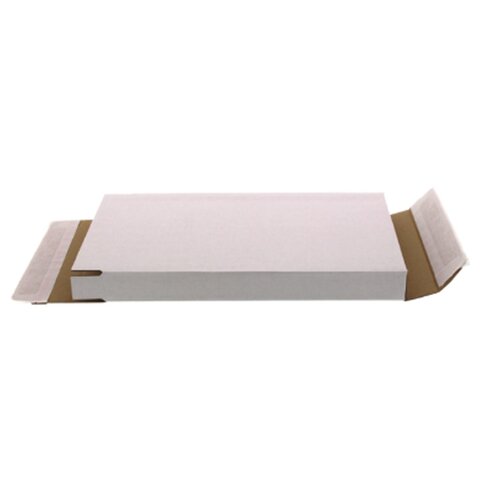 Master'in Brievenbusdozen met Zelfklevende Strip 350 x 230 x 28mm (A4) Master'in Brievenbusdozen met Zelfklevende Strip 350 x 230 x 28mm (A4)
