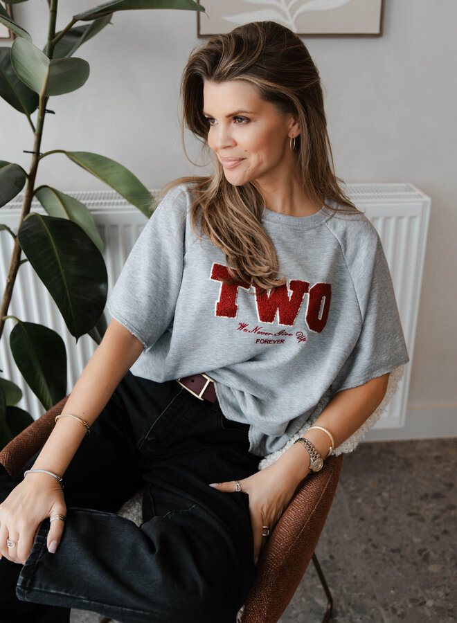 Truitje korte mouw Two – Grey
