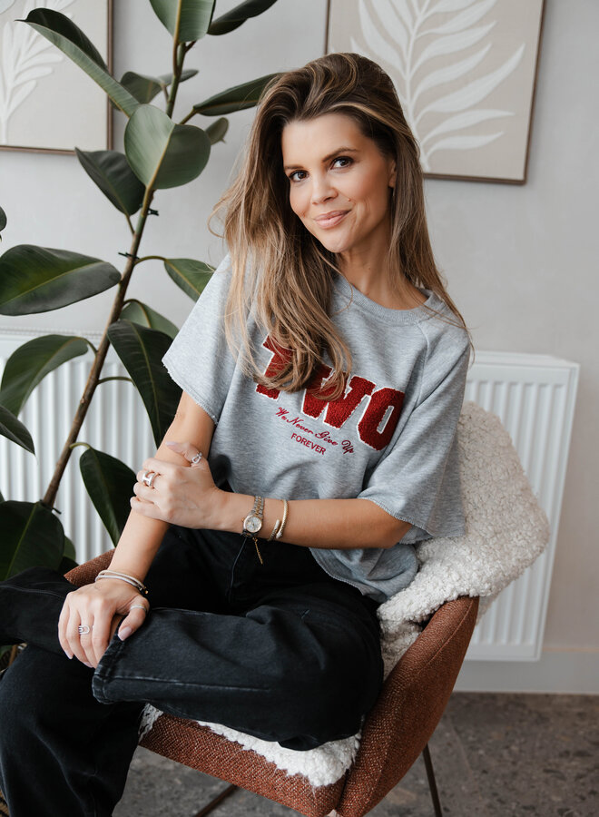 Truitje korte mouw Two – Grey