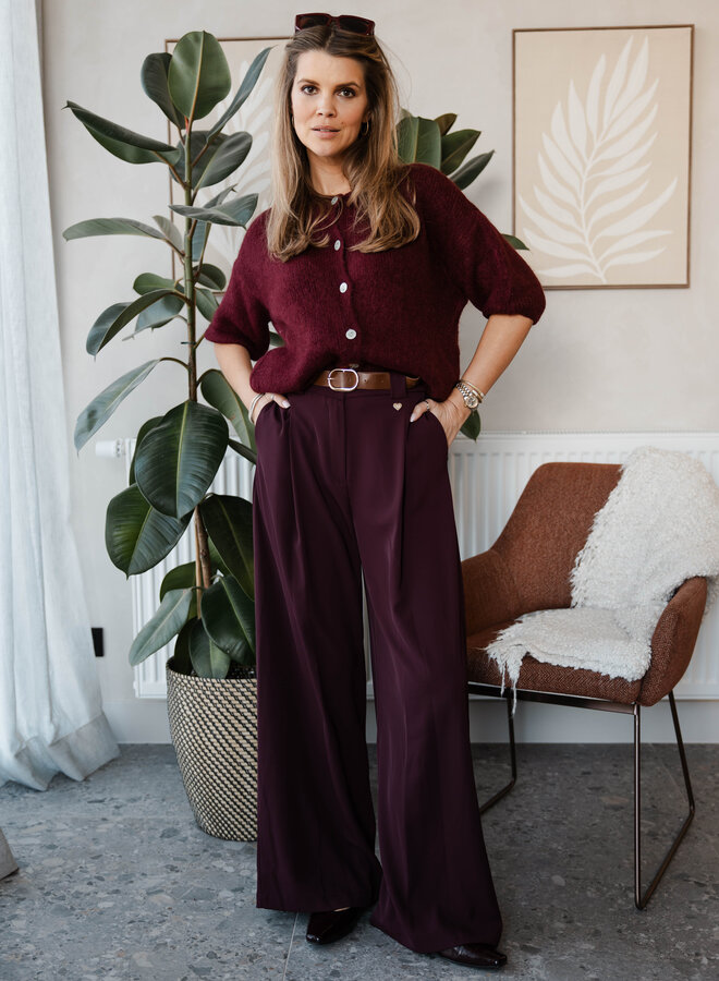 Trousers Catanzaro B505-SET18 Bordeaux3