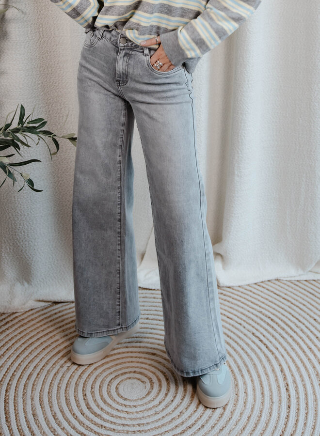 Delia Jeans large – Grey