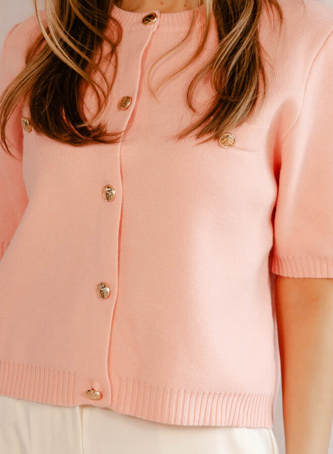 Chanella truitje korte mouw – Pink