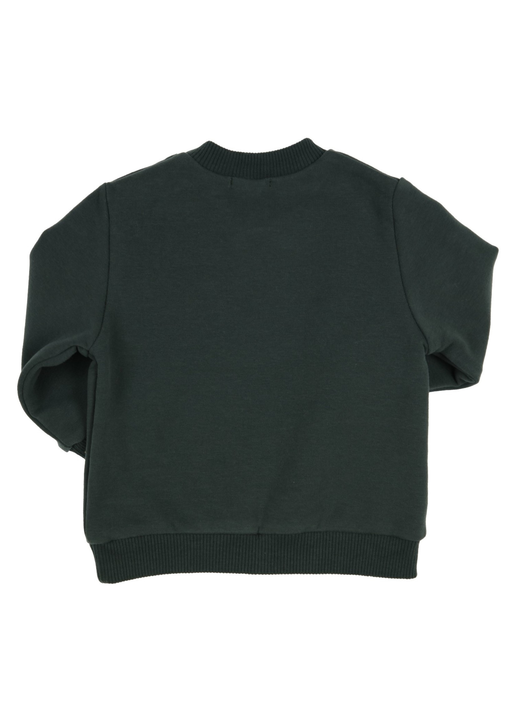 Gymp Sweater Carbondoux - Wanted Green