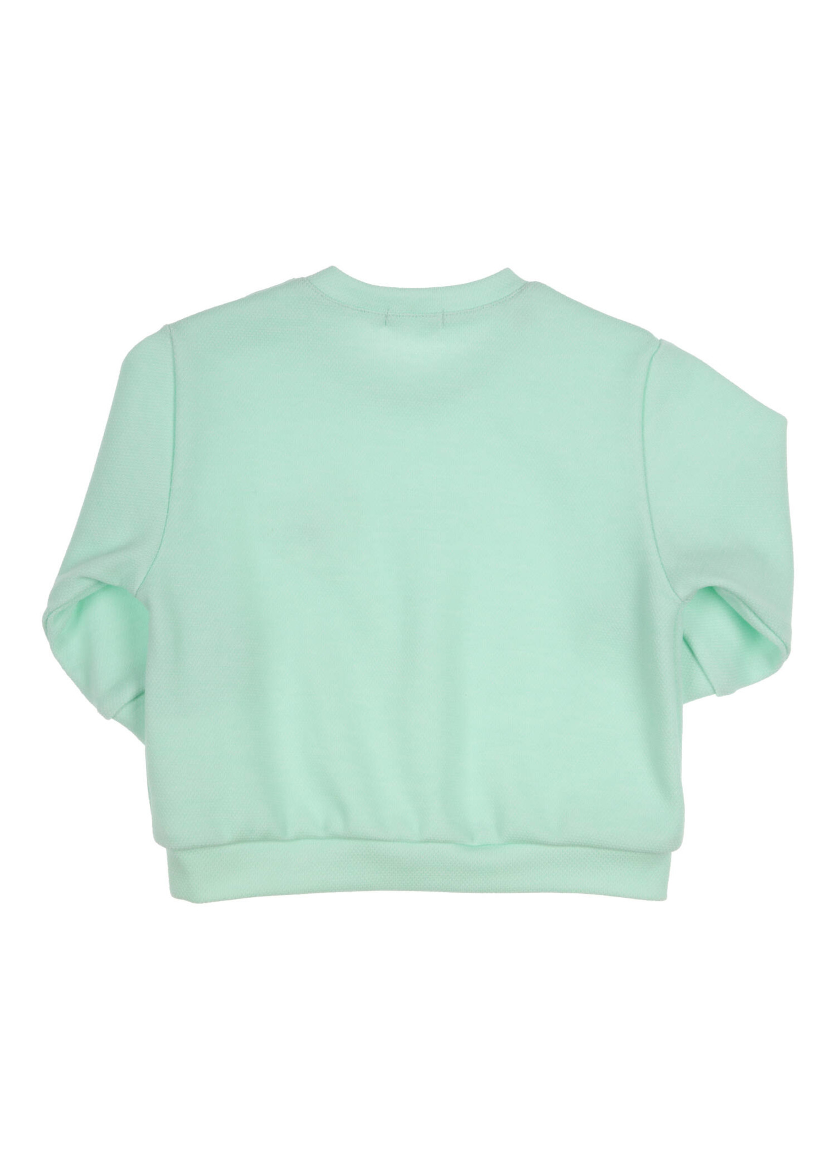 Gymp Sweater Britney Green 352-3374-10