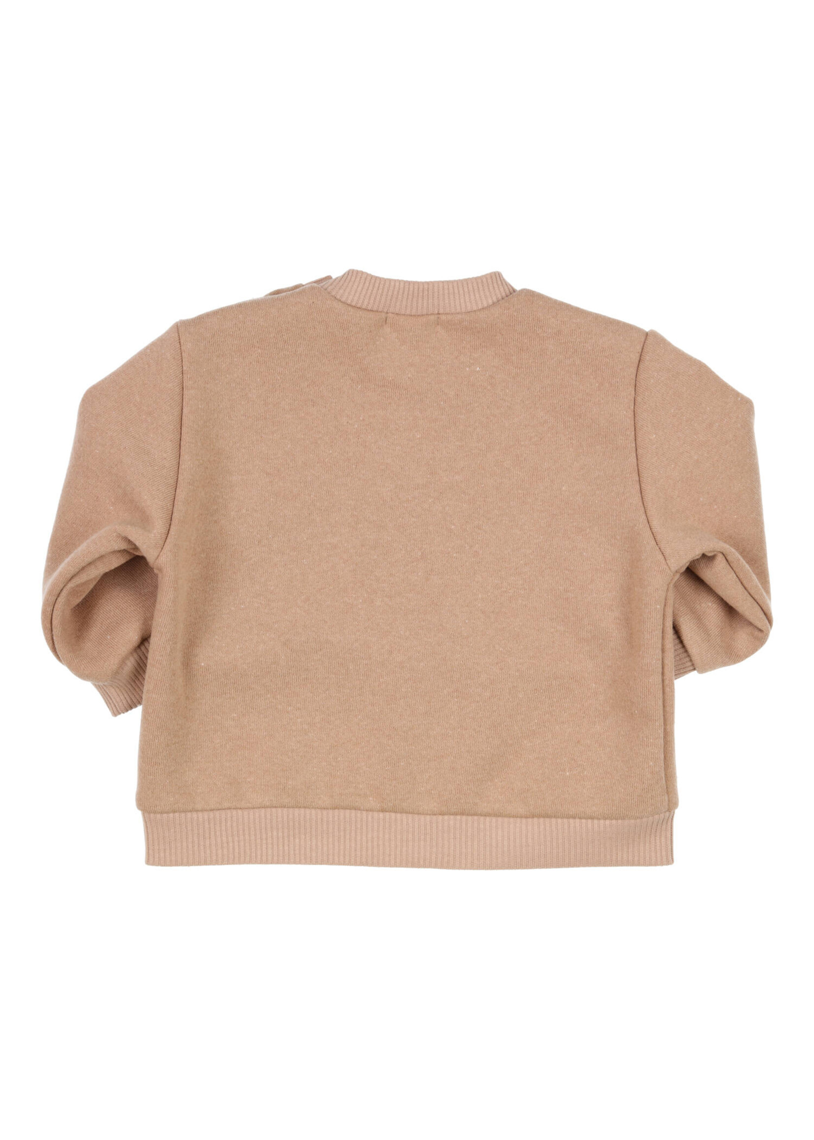 Gymp 352-3709-20 Sweater Carbontree Camel CM
