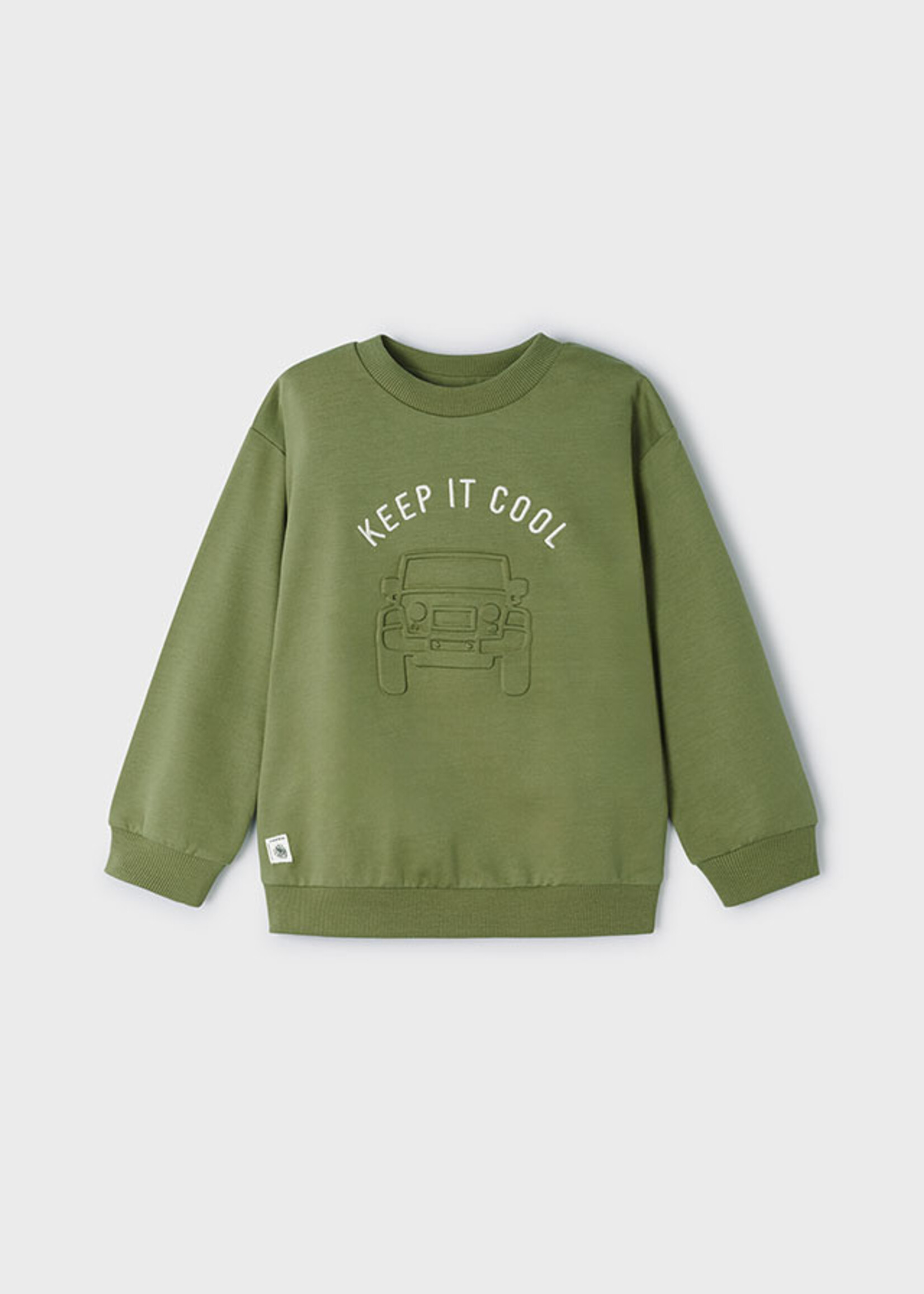 Mayoral Mini Boy             3481 Pullover embossed print       Iguana grn