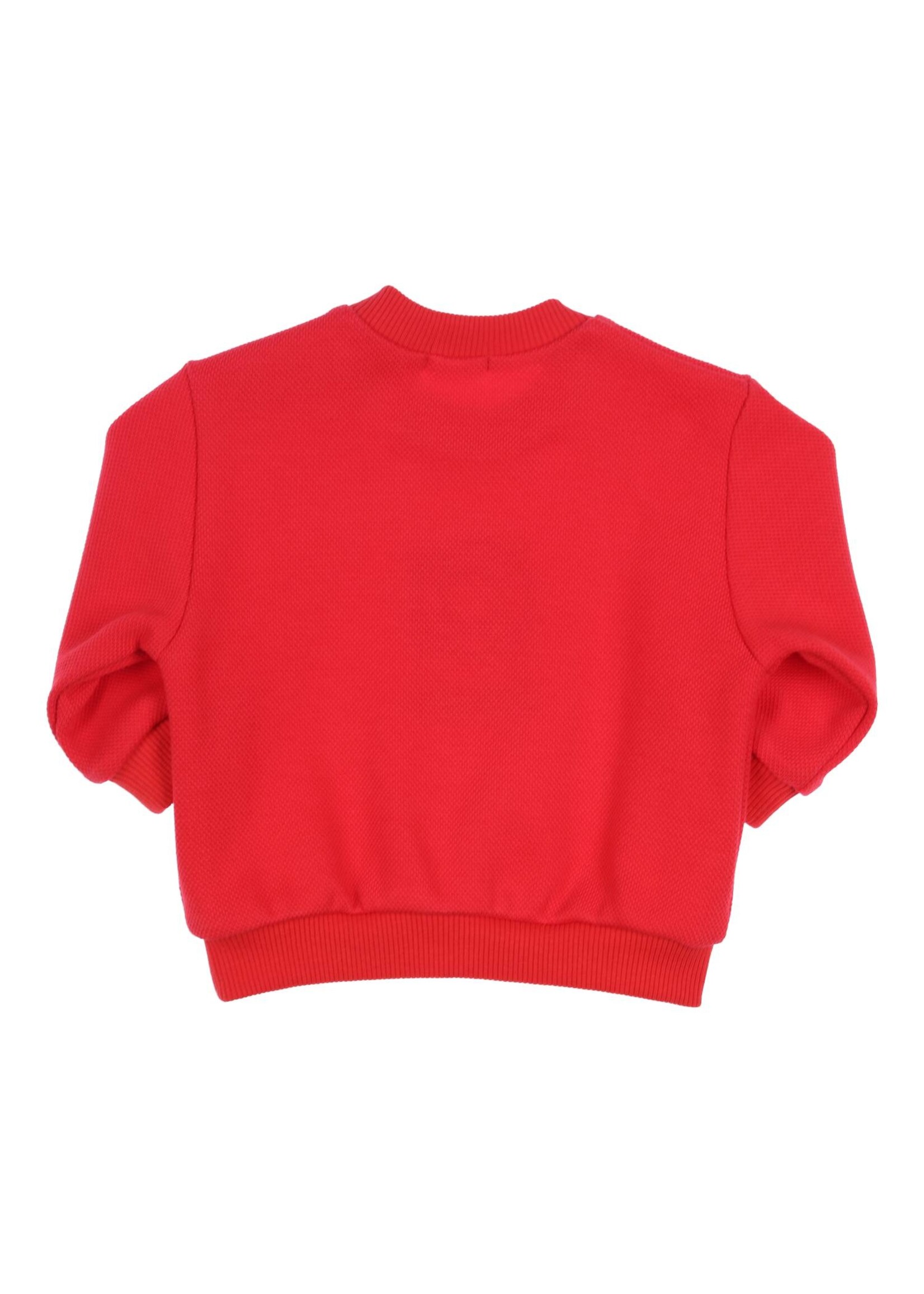 Gymp Boys Sweater Randy 352-4381-20 Red