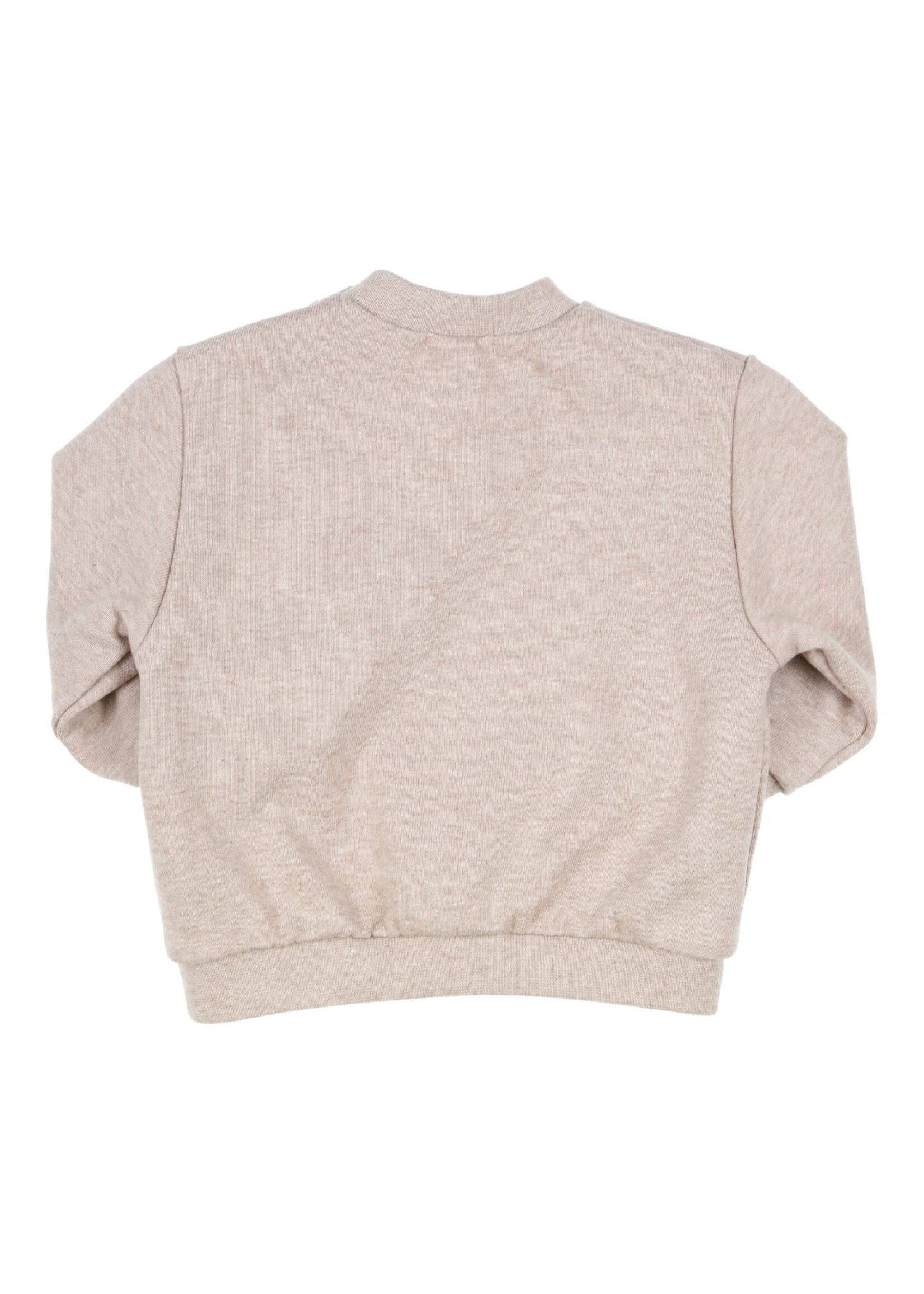 Gymp Boys Sweater Hibbo 352-4203-20 Beige