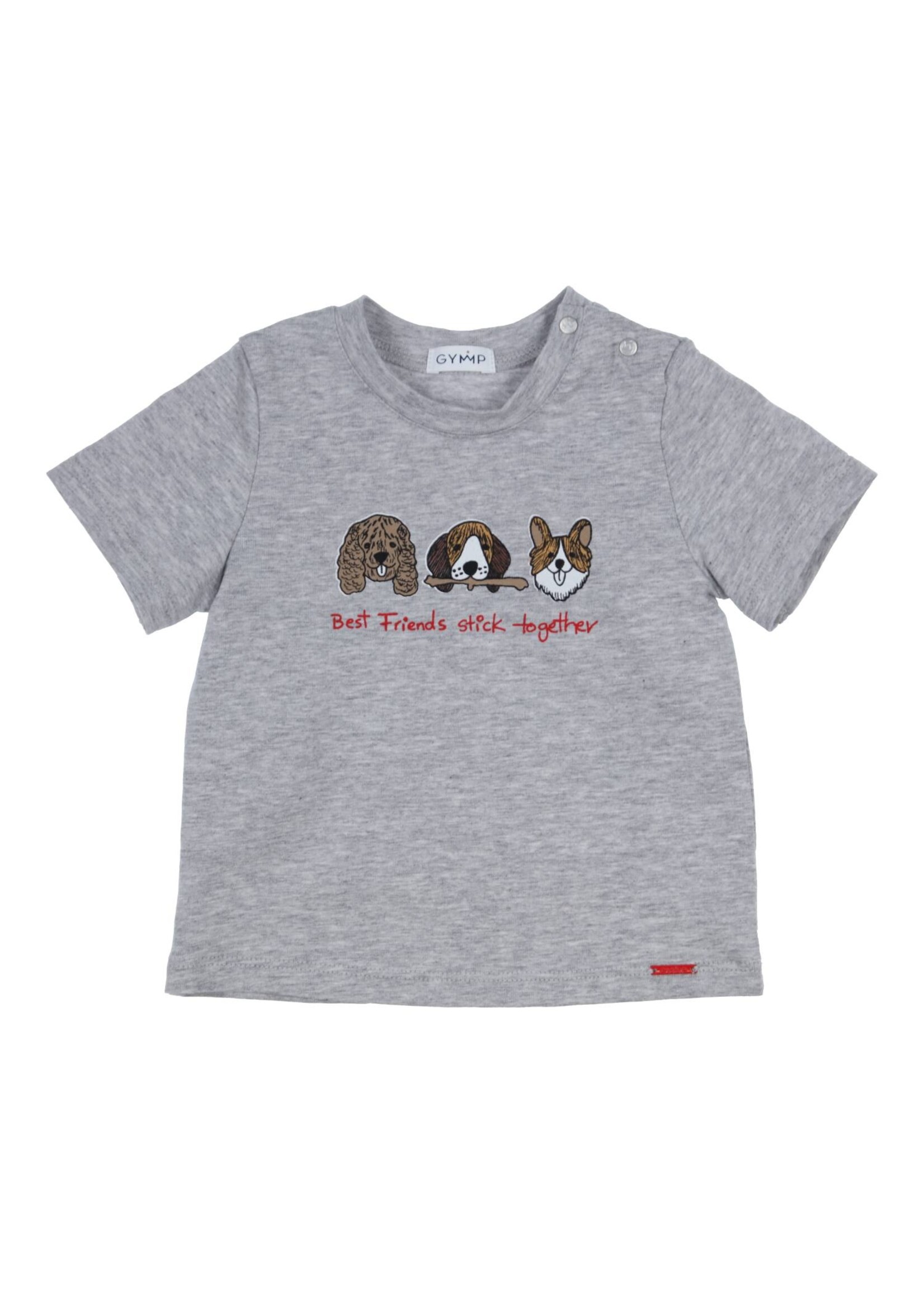 Gymp Boys T-shirt Aerochine Best Friends stick together 353-4457-20 Grey Melange